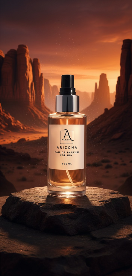 ARIZONA - OMBRE LEATHER INSPIRED