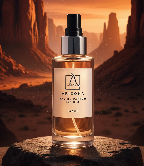 ARIZONA - TOM FORD - OMBRE LEATHER INSPIRED