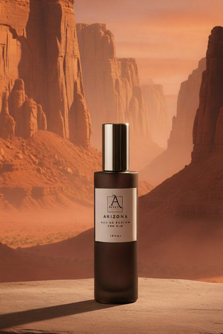 ARIZONA - OMBRE LEATHER INSPIRED
