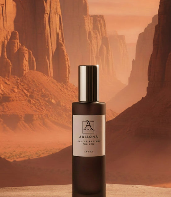 ARIZONA - OMBRE LEATHER INSPIRED